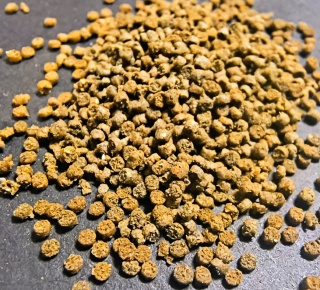 Granulat dla pielęgnic Cichlid Bits Green Pelnoporcjowy Wolnoopadający