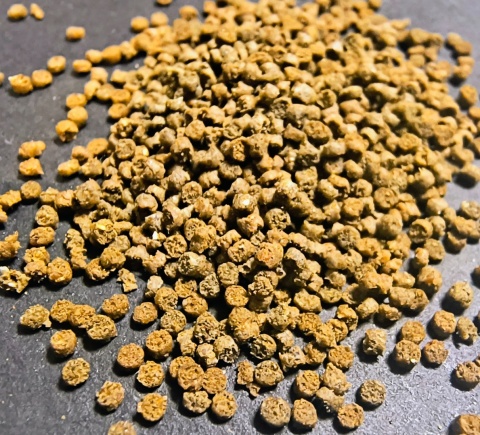 Granulat dla pielęgnic Cichlid Bits Green Pelnoporcjowy Wolnoopadający