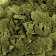 Spirulina flakes - Płatki ze spiruliną dla ryb tropikalnych