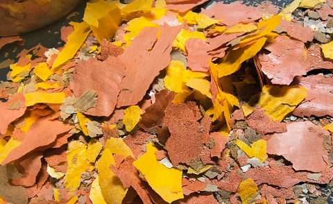 Zestaw płatków dla ryb akwariowych Spirulina Goldfish Tropical