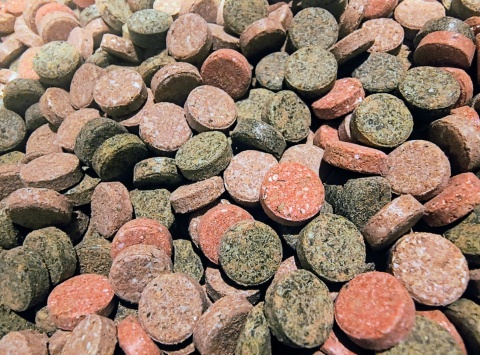 Pokarm w tabletkach dla ryb akwariowych ZESTAW 4 rodzaje dla ryb dennych