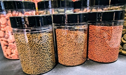 Kompletny zestaw pokarmów PREMIUM dla ryb akwariowych 11w1