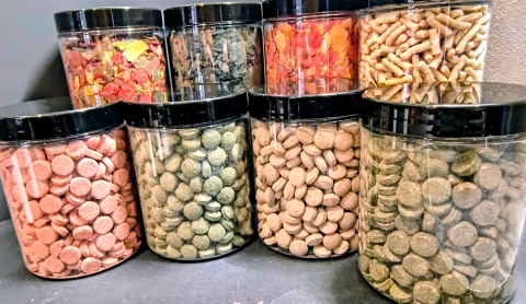 Kompletny zestaw pokarmów PREMIUM dla ryb akwariowych 11w1