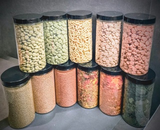 Kompletny zestaw XXL pokarmów PREMIUM dla ryb akwariowych 10w1