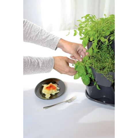 OGRÓD WERYKALNY DONICZKA KASKADA DO ZIÓŁ - GRAFIT