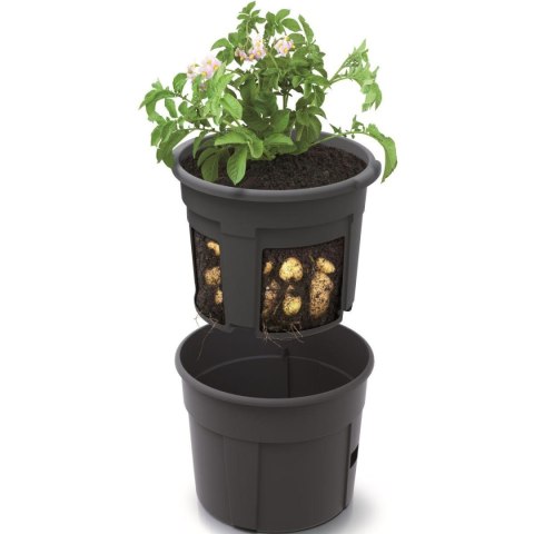 DONICZKA DO SADZENIA ZIEMNIAKÓW ŚR 39,2CM